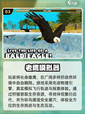 🦅2025最刺激老鹰模拟手游推荐！截图4