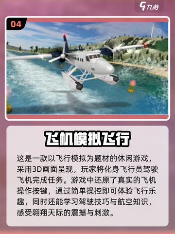 ✈2024免费飞机模拟游戏合集， realism爆棚！截图5