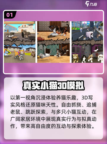 🐱2025最上头养猫手游合集！截图2