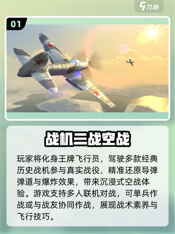 🔥2025二战空战游戏TOP榜🎮截图2
