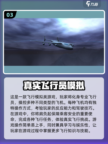 ✈2025超火飞机驾驶手游大揭秘！截图4