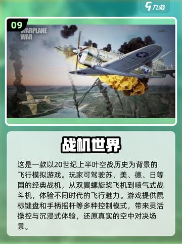🔥2025必玩！十大经典飞机手游推荐✈截图10