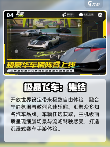 🔥2025最燃拉力赛车游戏排行🏎截图5