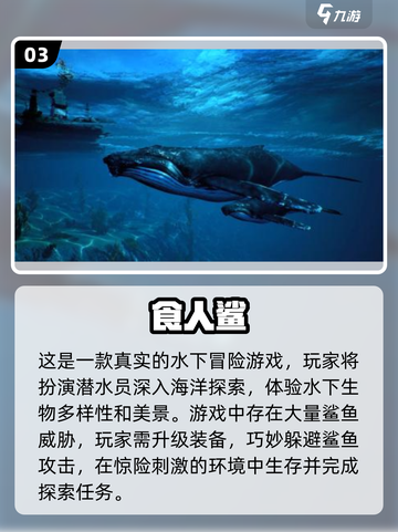 2025必玩🔥食人鲨游戏合集，带鲨鱼的刺激挑战来啦！🎉截图4