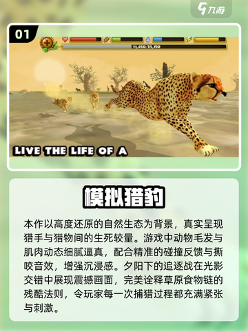 🔥2025高可玩单机游戏合集💥无流量也能爽玩！🎮截图2