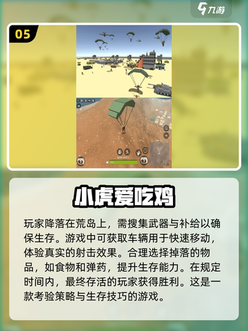 🔥2025必玩单机吃鸡游戏大揭秘🎮截图6