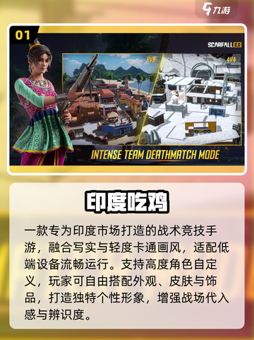 🔥2025印度吃鸡手游TOP榜💥截图2