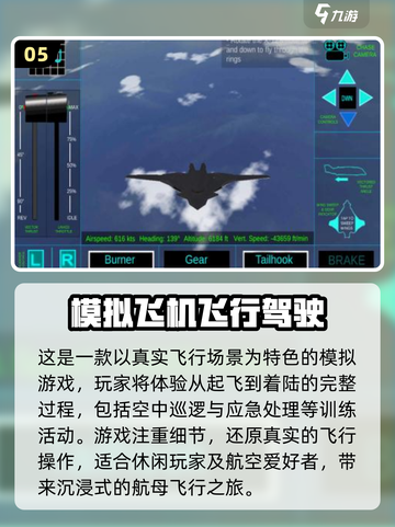 2024必玩✈飞机驾驶游戏下载排行🔥截图6