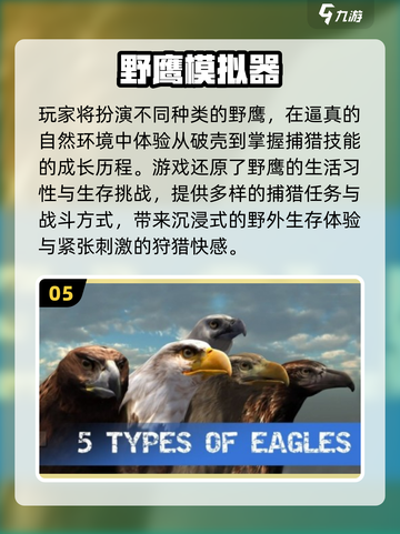 🦅2025最刺激老鹰模拟手游推荐！截图6