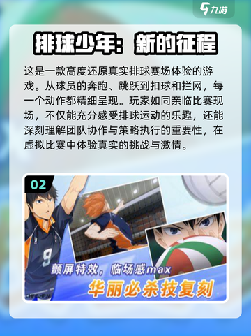 2024必玩🔥优质波兰球游戏大揭秘🎉截图3