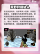 🔥2025年十大耐玩打猎手游排行榜✅截图7