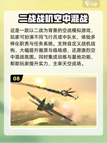 🔥2025必玩！TOP10二战飞机空战游戏排名💥截图9