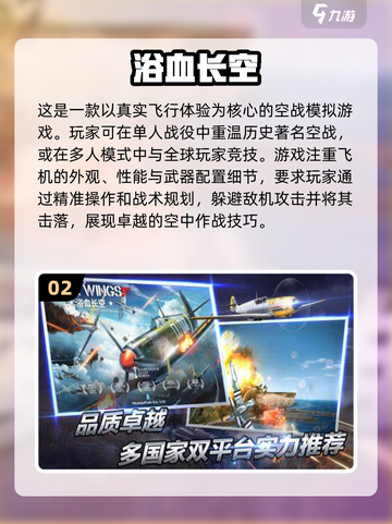🔥2024必玩二战战斗机游戏合集✈截图3