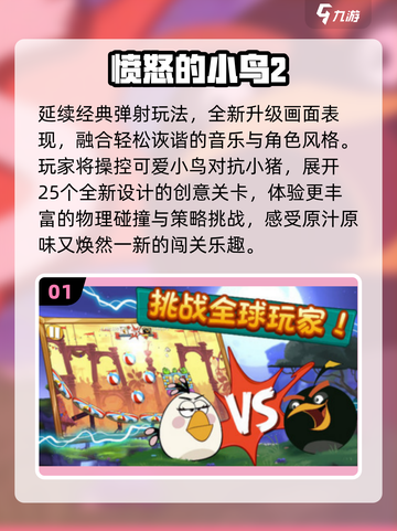 🔥2025经典愤怒小鸟回归！💥截图2