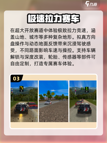 🏎2025最燃拉力赛手游Top5！截图4