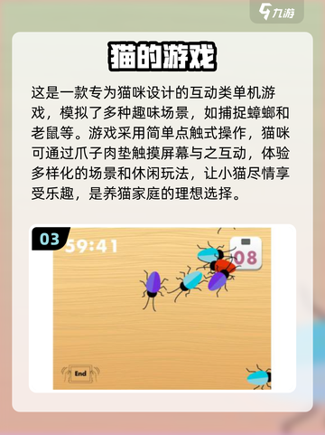 2024最受欢迎逗猫游戏排行🔥猫咪最爱玩/Game推荐截图4