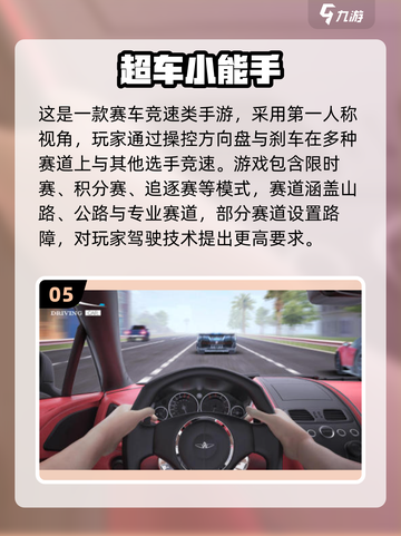 🔥2025最火第一人称驾驶游戏大揭秘！🎮截图6