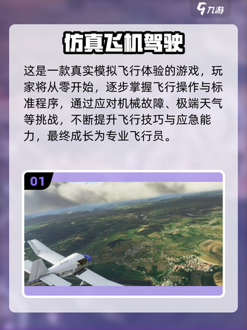 ✈2025中国高质量飞机模拟器游戏大合集！截图2