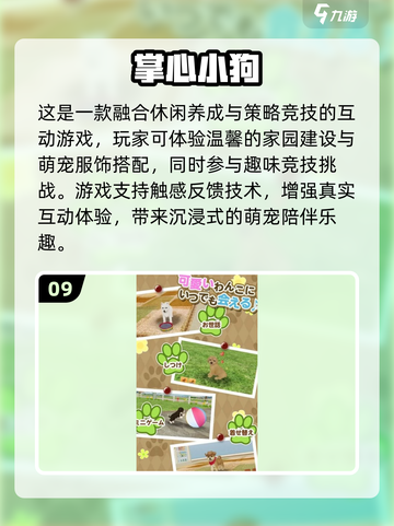 🐾狗狗超爱玩的100种游戏大公开！🔥截图10