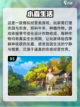 2024必玩🔥安卓休闲手游大汇总🎉截图6
