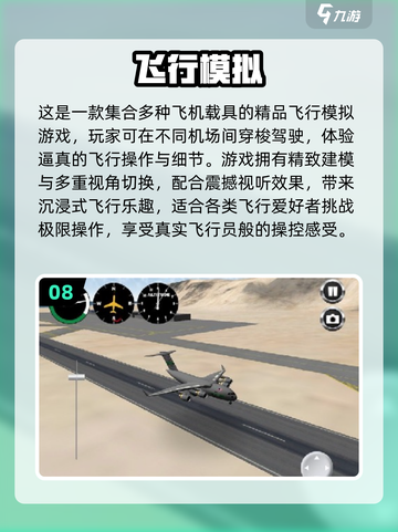 🔥经典单机飞机游戏Top10💥免费畅玩2025推荐！🎮截图9