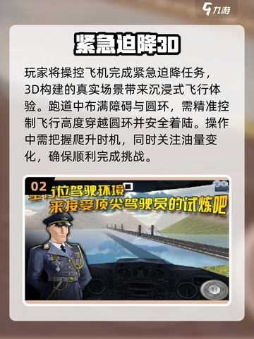 ✈2025最火紧急迫降游戏大揭秘！截图3