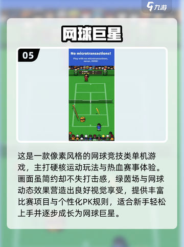 🔥2025最火单机网球游戏大揭秘！🎮💥截图6