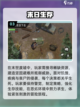 🔥2024必玩！末日生存手游推荐🤩截图4