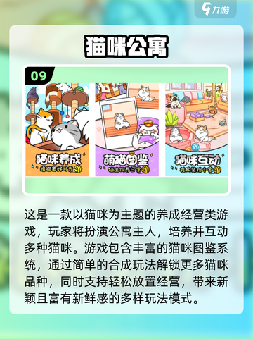 🐾超治愈！2025必玩3D猫猫游戏大公开✨截图10