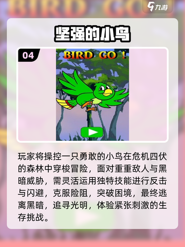 🔥2025最火打鸟手游TOP榜💥截图5