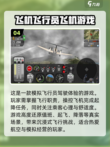 🔥2024必玩模拟飞行手游下载推荐✈截图5