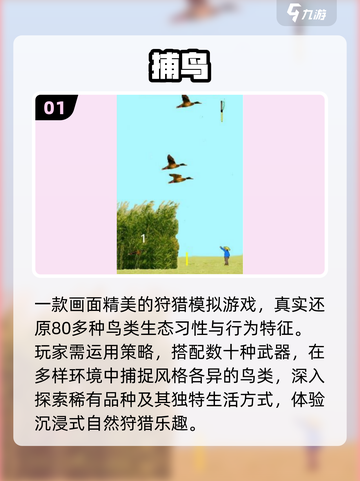 🔥2025最火打鸟手游TOP榜💥截图2