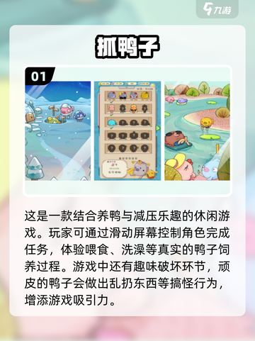 抓鸭子游戏🔥2024高人气手游推荐🎉截图2