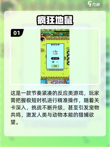 🐾狗狗超爱玩的100种游戏大公开！🔥截图2
