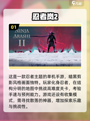 2024必玩🔥免费单机小游戏TOP5✨截图2