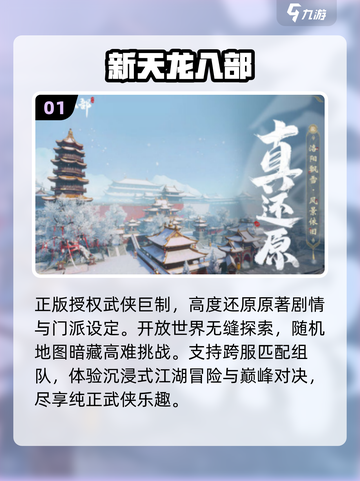 🔥2013经典网游TOP榜💥截图2