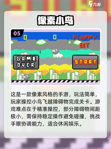 🔥2025超好玩的小鸟游戏排行榜🎉截图6