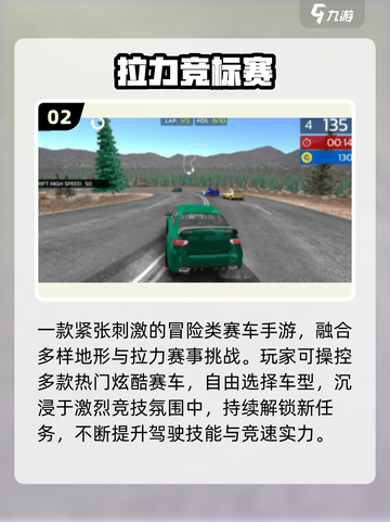 🏎2025最燃拉力赛车手游推荐！截图3