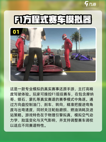 🔥2025最燃F1手游推荐！🏎极速狂飙体验截图2