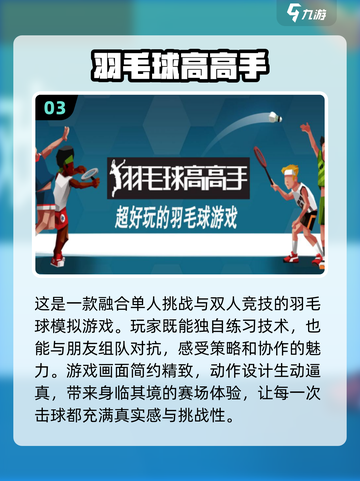 2024必玩🔥优质波兰球游戏大揭秘🎉截图4