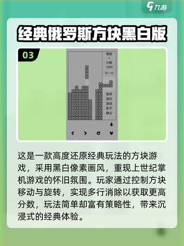 🔥2025免费俄罗斯方块游戏大🔥截图4