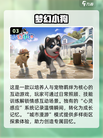 🐾狗狗超爱玩的100种游戏大公开！🔥截图4