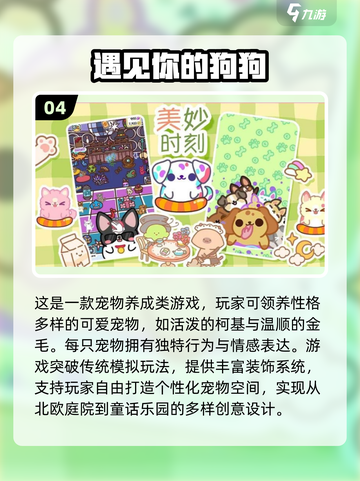 🐾狗狗超爱玩的100种游戏大公开！🔥截图5