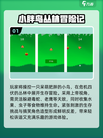  jungle探险神作免费玩🔥截图2