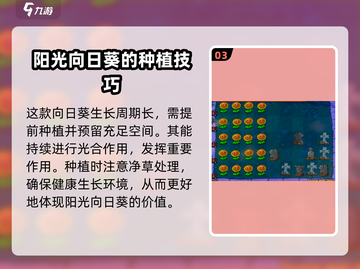 植物大战僵尸之阳光向日葵🔥超好玩/Game必备🌱截图4