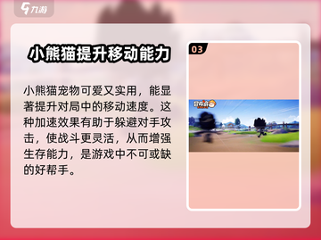 冒险岛联盟的意志宠物搭配🔥超强攻略来啦！截图4