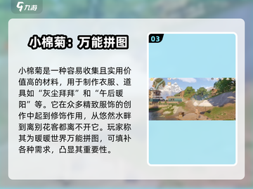 无限暖暖🔥小棉菊采集攻略✨玩家必看！截图4