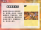 无尽梦回😎新手必看！玩转游戏全攻略🎉截图4