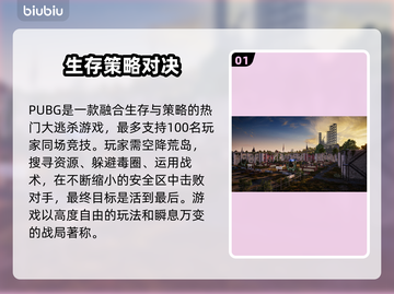 🔥 PUBG闪退救星！加速器推荐来啦 🎮截图2
