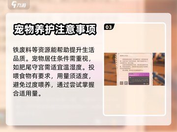 沙石镇时光💥肥尾守宫最爱的物品大曝光！截图4